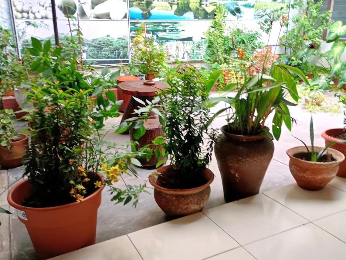 Hospedaje Casa Amazonica Iquitos Esterno foto